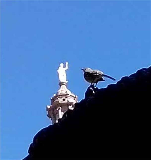 Austin Photography By Dapacu